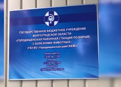 Во взятке в полтора миллиона рублей подозревают волгоградского ветеринара