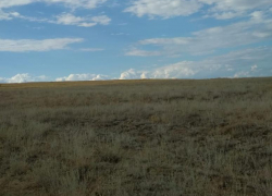Тело неизвестного мужчины найдено в поле под Волгоградом