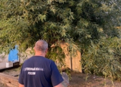 Под Волгоградом 12-летнего школьника нашли задушенным на качелях