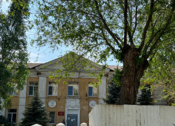 В центре Волгограда грузовик сбил второклассницу у входа в школу