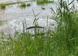 Коммунальный фонтан забил в Ворошиловском районе Волгограда: видео 