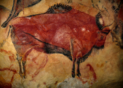 Первобытный бизон обитал более 10 тысяч лет назад на территории Волгоградской области
