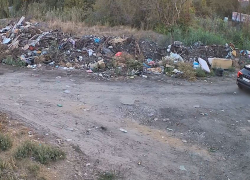 От свалки с мертвой собакой открестилась мэрия Волгограда 