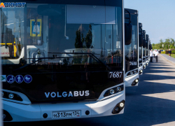 Замена рухляди на новые автобусы шокировала волгоградцев