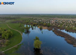 Грибник потерялся в овраге под Волгоградом