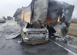 Трое погибли в сгоревшей иномарке после столкновения с лесовозом под Волгоградом — видео 