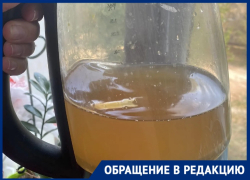 Мутная бурда течет из водопроводных кранов в Волгограде 