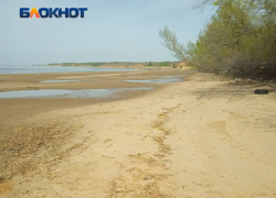 18 трупов подняли водолазы из волгоградских рек 
