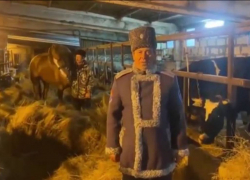 Волгоградских чиновников отправили растрястись на колдобинах после прямой линии с Путиным