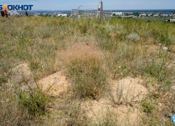 Волгоградец после выхода из тюрьмы расстрелял надгробия на кладбище