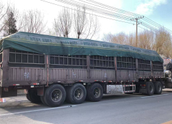 Самое большое колесо обозрения в России везут из Китая в Волгоград 27 грузовиков