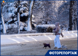 «Настоящая зима!»: утро завораживающей красоты наступило для волгоградцев 