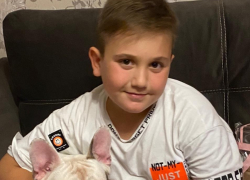 Рухнувшая у подъезда ветка сломала позвоночник 8-летнему волгоградцу