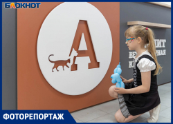 Новая большая ветеринарная клиника "Айболит" открылась в Волгограде на Семи Ветрах