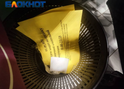 Трезвый День знаний отмечают в Волгограде 