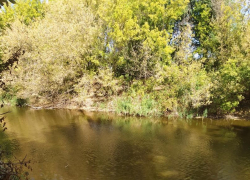 Мужчину забили насмерть на берегу Ахтубы под Волгоградом