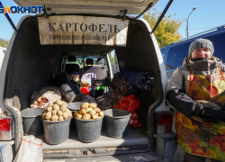 В Волгоградской области продолжает дорожать картофель