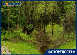 Тайная жизнь ерика за Волгой в Волгоградской области в объективе фотографа