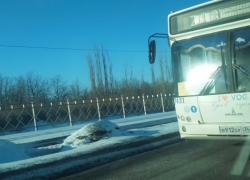 Автобусы Волгограда продолжает гонять на "красный" и игнорировать людей на остановках