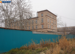 Очередные щенки-подкидыши в Волгограде довели волонтеров до слез