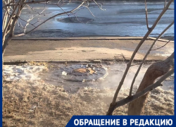 "Как ср**ть - там бумажку искать": волгоградец раскрыл главную причину плохой работы концессий
