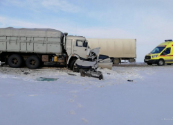 Уснул за рулем, врезался в КамАЗ: один погиб и пятеро пострадали в ДТП в Волгоградской области