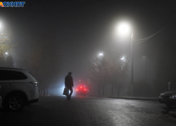 Туманом и моросью начнется ударная неделя декабря для волгоградцев