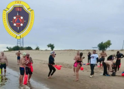 Три десятка волгоградских моржей совершили октябрьский заплыв через Волгу