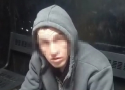 Волгоградца поймали с поличным на месте кражи из автомобиля: видео