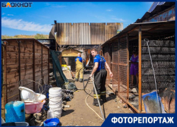 Собаки сгорели заживо: показываем пепелище на месте крупного приюта в Волгограде