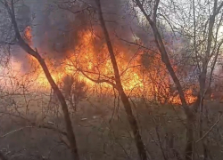 Крупный пожар вспыхнул на юге Волгограда