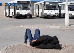 Жуткие подробности: у найденного в Волгограде мертвого мужчины голову и конечности съели животные