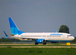 Самолет из Волгограда авиакомпании «Победа» попал в стаю птиц при посадке в Москве