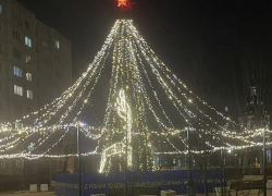 Круче не нашлось: показываем лучшую елку Волгоградской области по итогам странного голосования