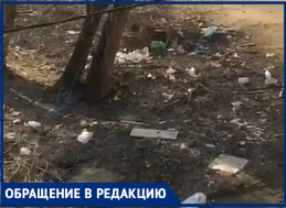 «Сами намусорили, а нам убирать?» - коммунальщики отказались разгребать ковер из мусора в Волгограде
