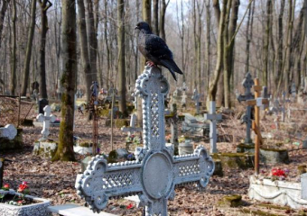 Каждый день от онкологии умирает 13 волгоградцев