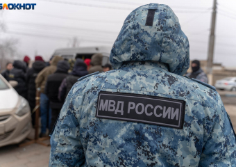 Глава стройбазы открыл стрельбу по требовавшим зарплату волгоградцам