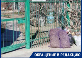 Волгоградцы жалуются на двухнедельный невывоз мусора