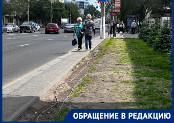 Затоптанный газон после реконструкции за 24 млн отказались спасать в Волгограде 