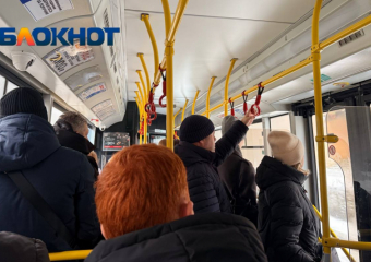 Волгоградца убили из-за конфликта в автобусе 