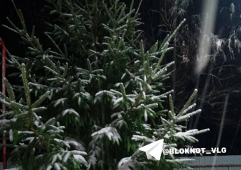 Первый снег выпал в Волгоградской области