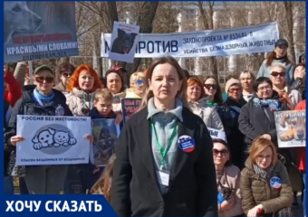 Волгоградцы обратились к называющим их «зоошизой» депутатам