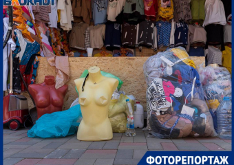 Честный взгляд на новый рынок: куда послали волгоградцев