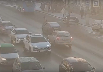 Летевший на красный водитель снес волгоградку на пешеходном переходе: видео
