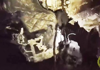 Железо в клочья: страшные кадры сняли на месте гибели двоих в иномарке на волгоградской трассе