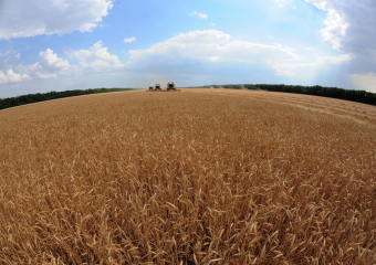 Вышел из депрессии и угрожает посевам Волгоградской области: Россельхозцентр предупредил фермеров