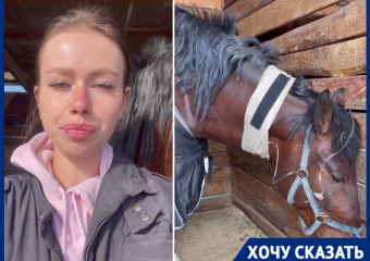 Прокрался со шприцем: неизвестный устроил мучительную расправу над лошадьми в конюшне под Волгоградом