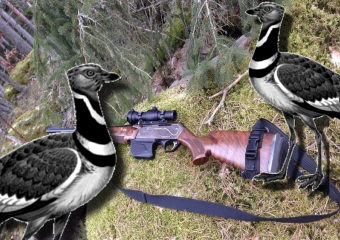 В Волгоградской области отстреливают особо ценный вид птиц  