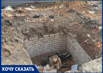 Волгоградка сняла на видео жуткие последствия наведения порядка в Тракторозаводском районе