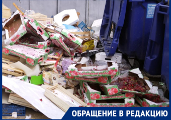 Клубничную свалку нашли в Волгограде